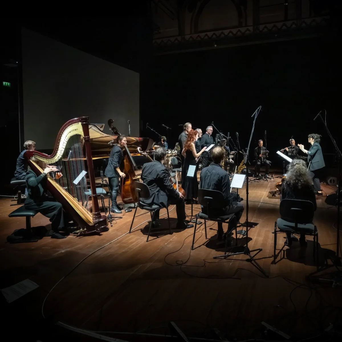 Deep Siesta Chamber Opera